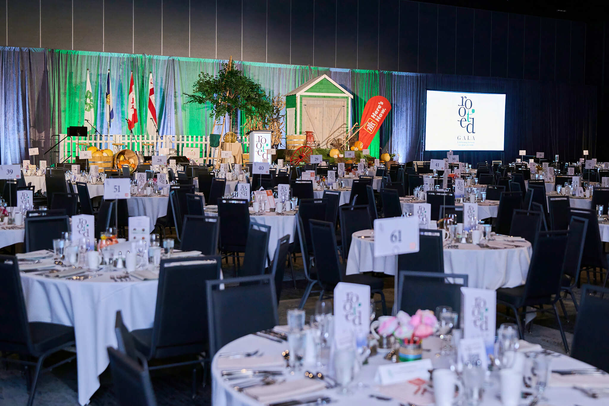 Rooted Dinner Set-Up